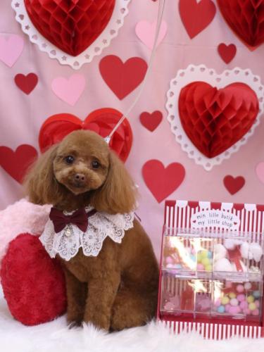 20240211このはちゃん